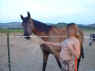 DSCF0002 au cheveaux.jpg (72316 octets)