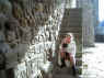Feb09174.JPG (84100 octets)