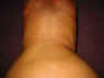 M14.jpg (44477 octets)