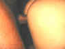 M8.jpg (51044 octets)