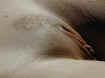 andreeminou5.jpg (117759 octets)