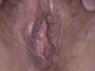 sexe06.jpg (34376 octets)