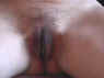 sexe22.jpg (36928 octets)