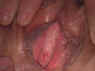 sexe26.jpg (37776 octets)