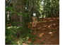 volage12.JPG (48244 octets)