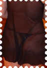 volage51.JPG (85228 octets)